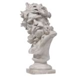 A plaster bust of Neptune in action, after the famous 'Neptune and Triton' by Bernini, H 62 cm