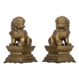 A pair of Chinese bronze Fu lions, H 23,5 - W 16,5 - D 12 cm