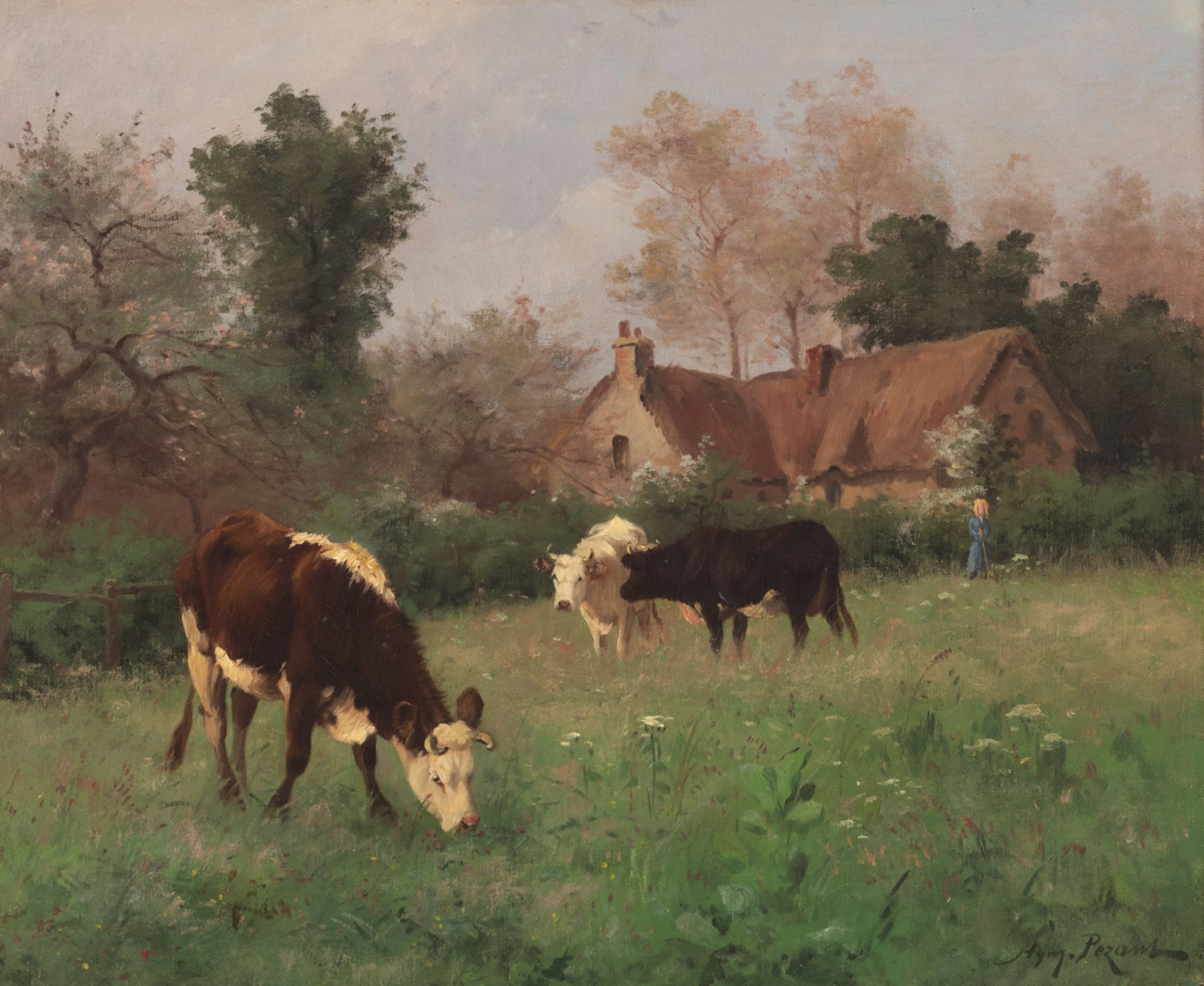 Pezant A., a pastoral view with grazing cows, oil on canvas, 54 x 65 cm