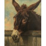 No visible signature (attributed to Henry Schouten), the donkey, oil on canvas, 50,5 x 61,5 cm