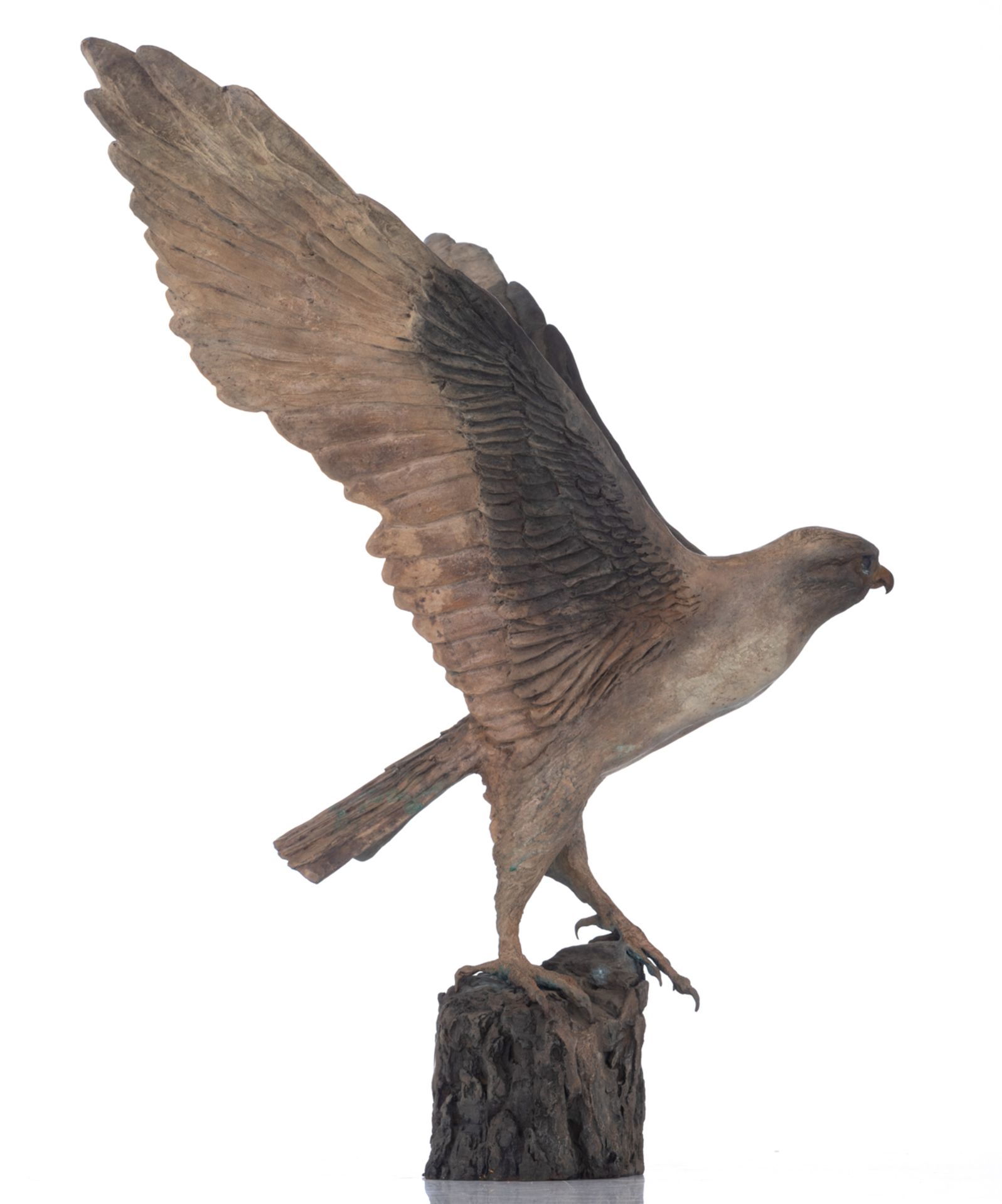 Madeleine van der Knoop, the falcon, N° 3/6, cold painted bronze, H 71 - W 78 cm - Bild 5 aus 8