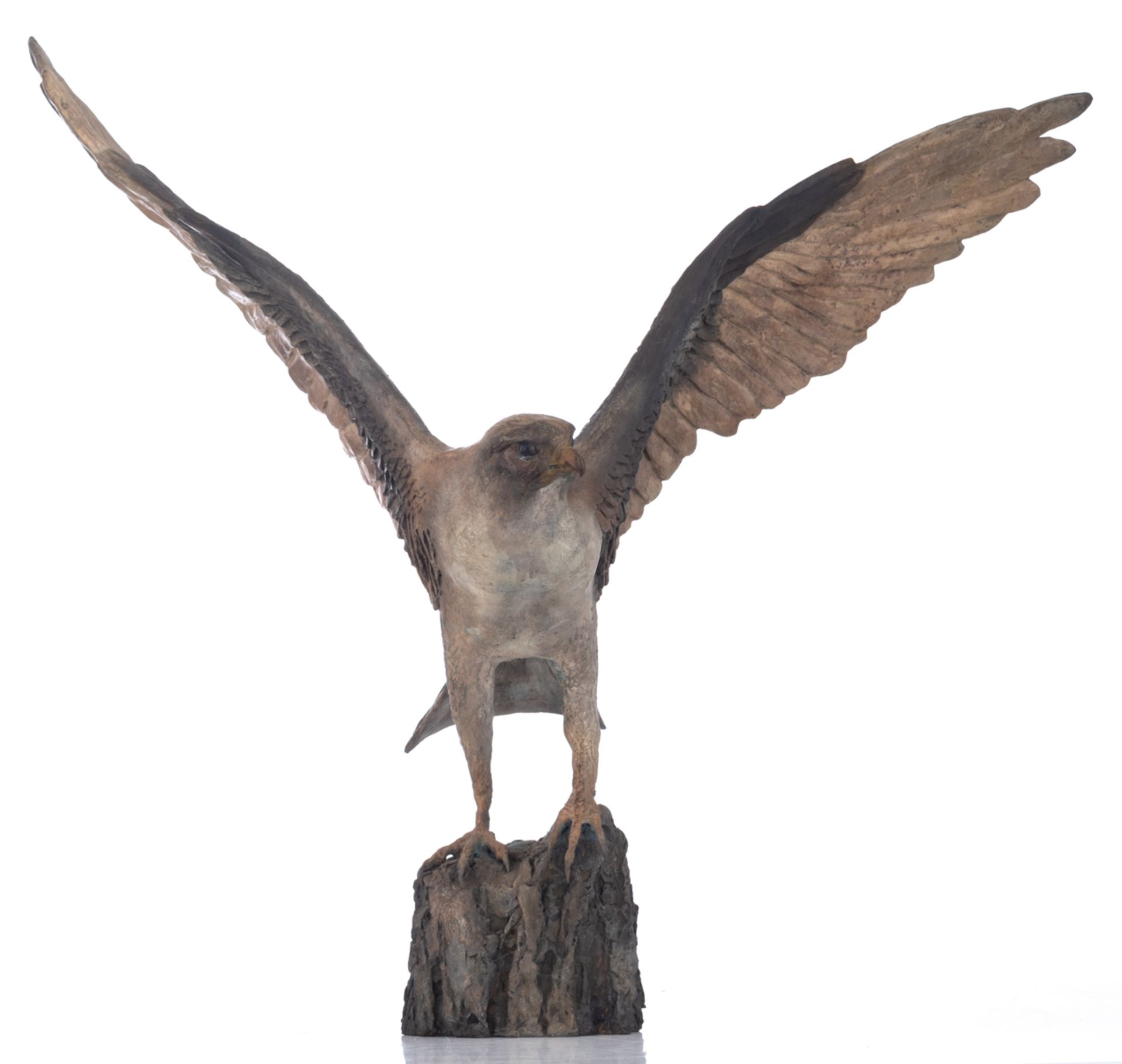 Madeleine van der Knoop, the falcon, N° 3/6, cold painted bronze, H 71 - W 78 cm - Bild 2 aus 8