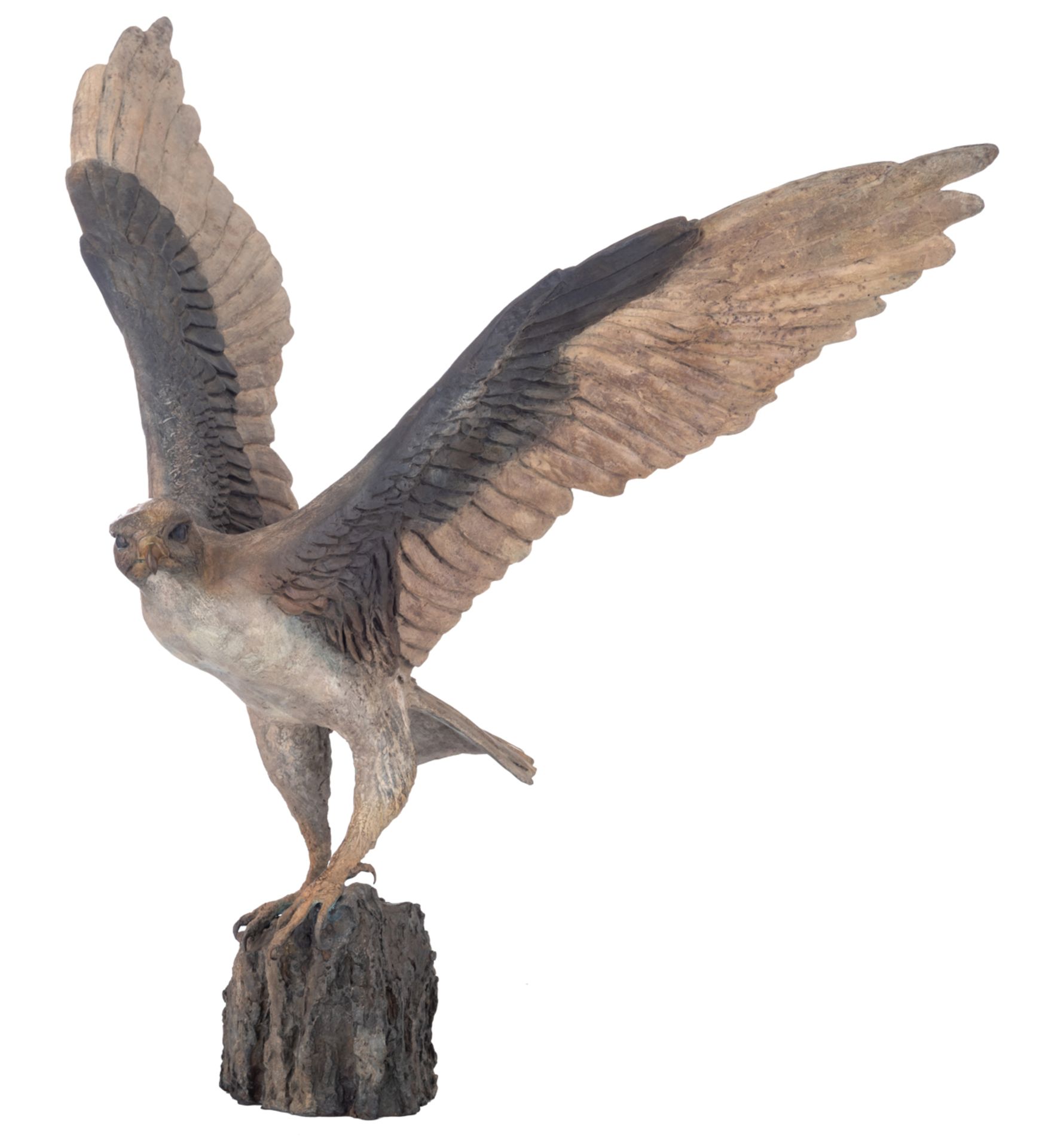 Madeleine van der Knoop, the falcon, N° 3/6, cold painted bronze, H 71 - W 78 cm