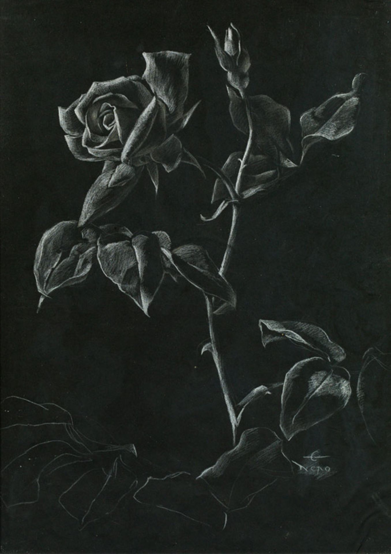 Ernst Nepo* Silver rose, 1949