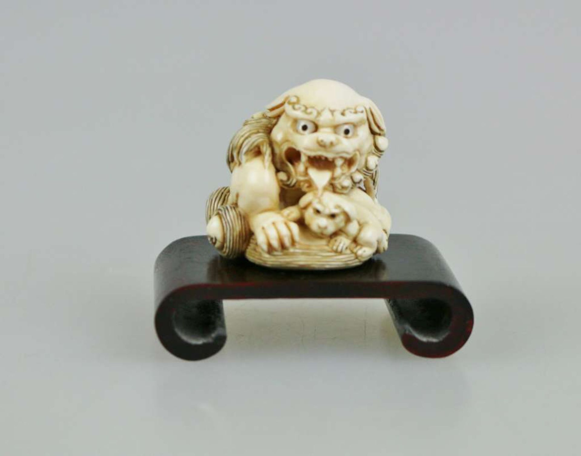 Netsuke, Japan, wohl 19. Jh., Shishi mit Jungem, Elfenbein, am Boden signiert, H.: ca. 3 cm.