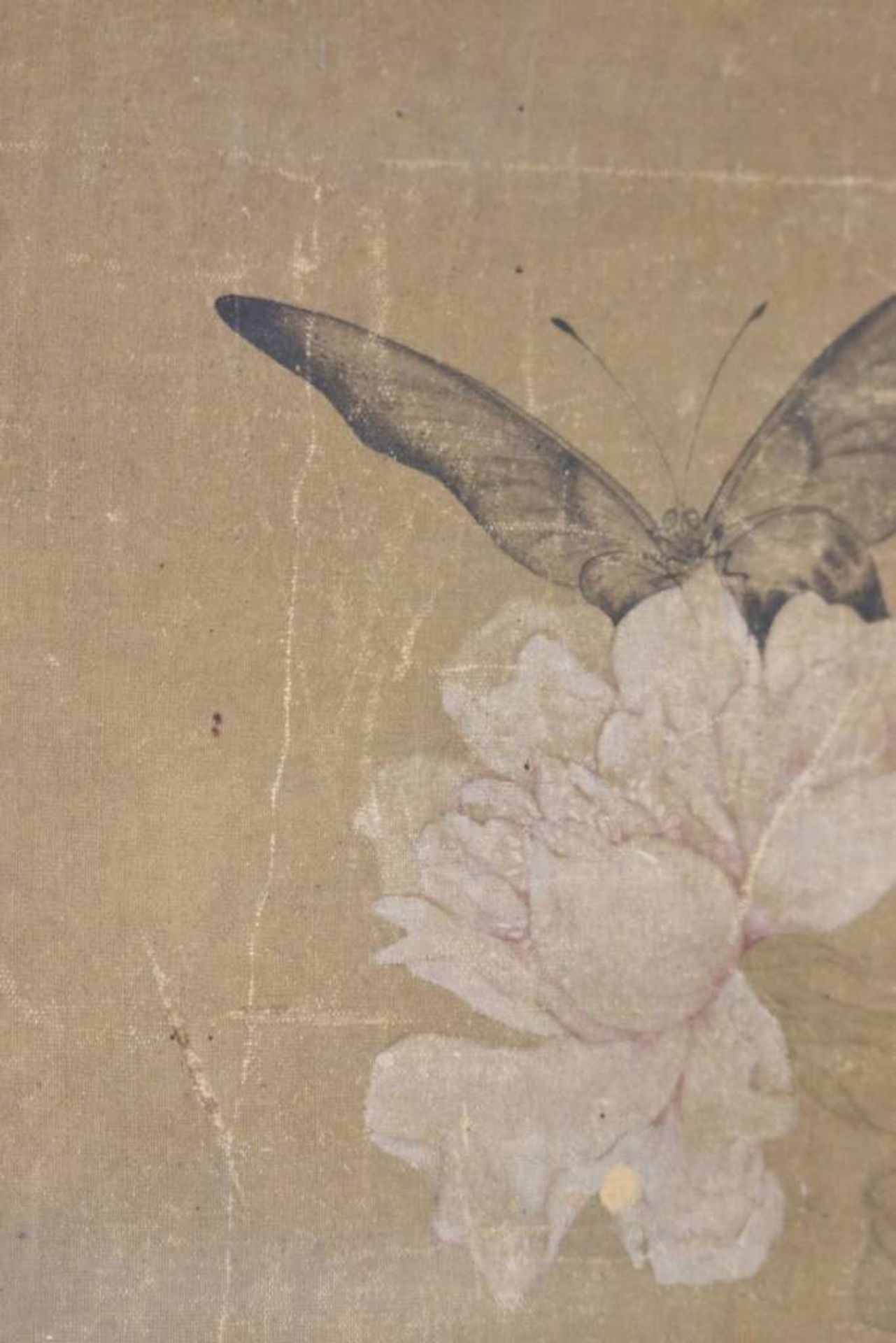 Kakemono, Tuschezeichnung, wohl Edo Zeit, dargestellt die Äste blühender Rosensträucher, in deren - Image 4 of 5