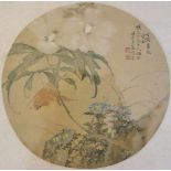 Seidenmalerei, China, Tusche auf Seide, wohl ehemals Rundfächer, großblütige Pflanze mit Vogel und
