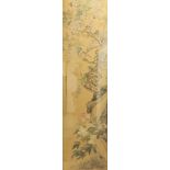 Kakemono, Tuschezeichnung, wohl Edo Zeit, in der Art des Tachihara KYOSHO (1786-1840), dargestellt