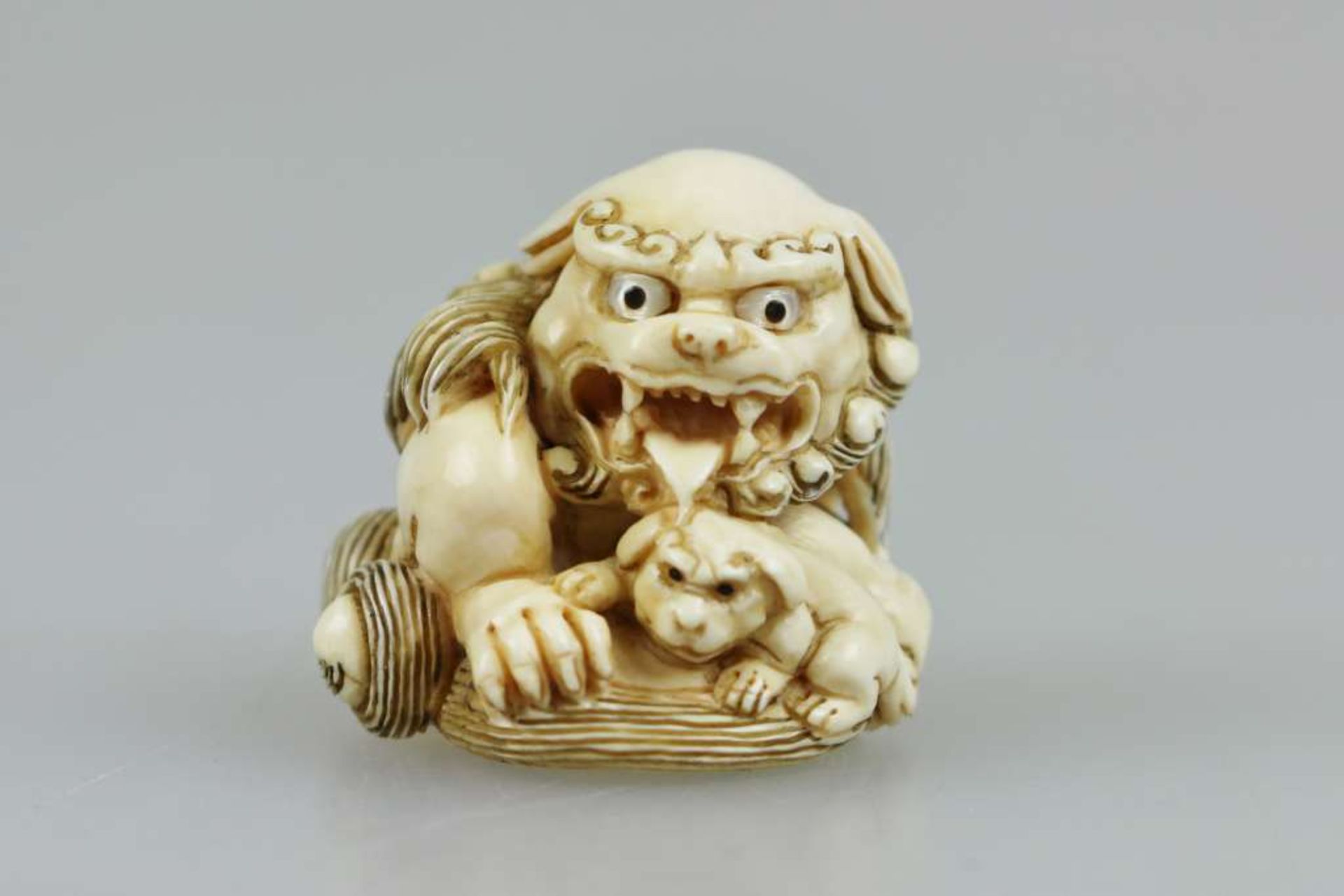 Netsuke, Japan, wohl 19. Jh., Shishi mit Jungem, Elfenbein, am Boden signiert, H.: ca. 3 cm. - Bild 2 aus 4