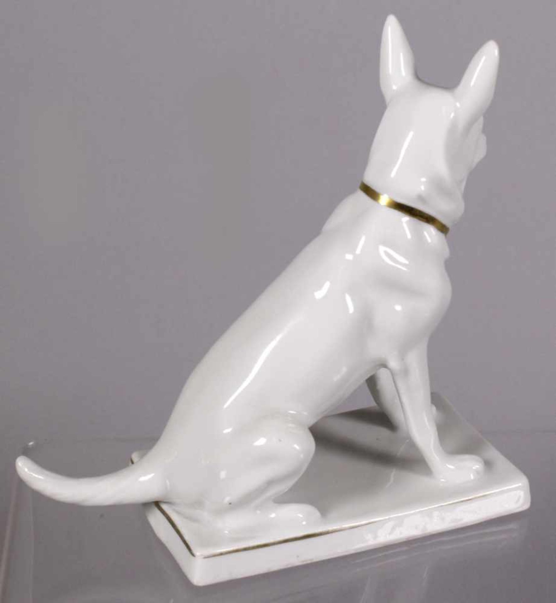 Porzellan-Tierplastik, "Hund", Neue Porzellanfabrik Tettau, um 1927-37, Mod.nr.: 12575/IV, - Bild 2 aus 3