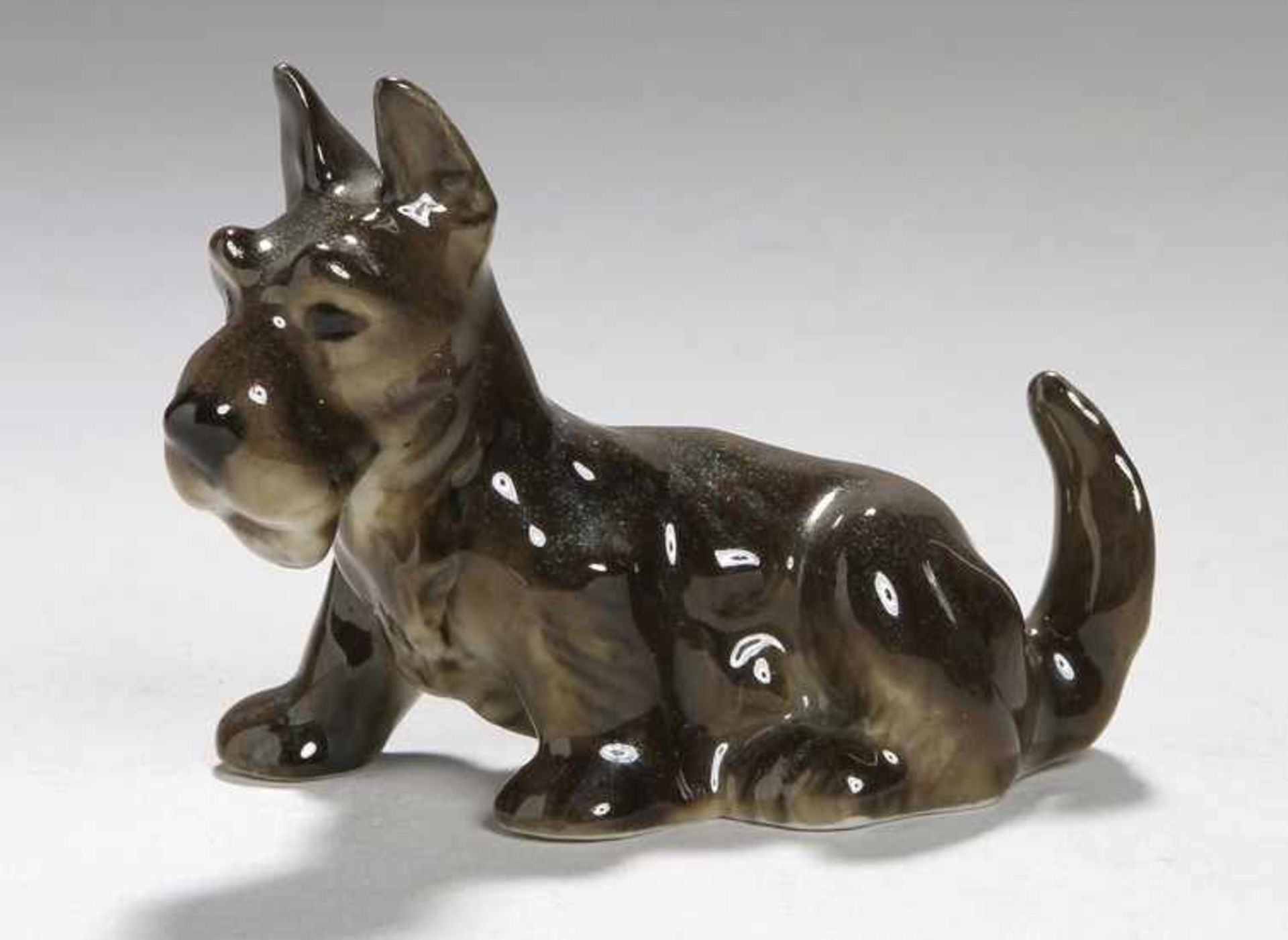Porzellan-Tierplastik, "Terrier", Lorenz Hutschenreuther, Kunstabteilung Selb, um 1955-68,