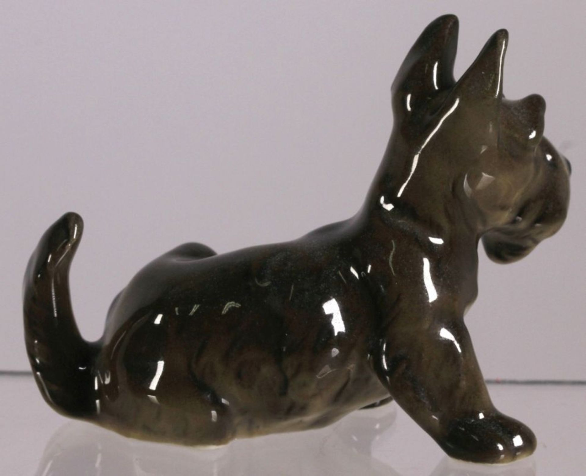 Porzellan-Tierplastik, "Terrier", Lorenz Hutschenreuther, Kunstabteilung Selb, um 1955-68, - Bild 2 aus 3