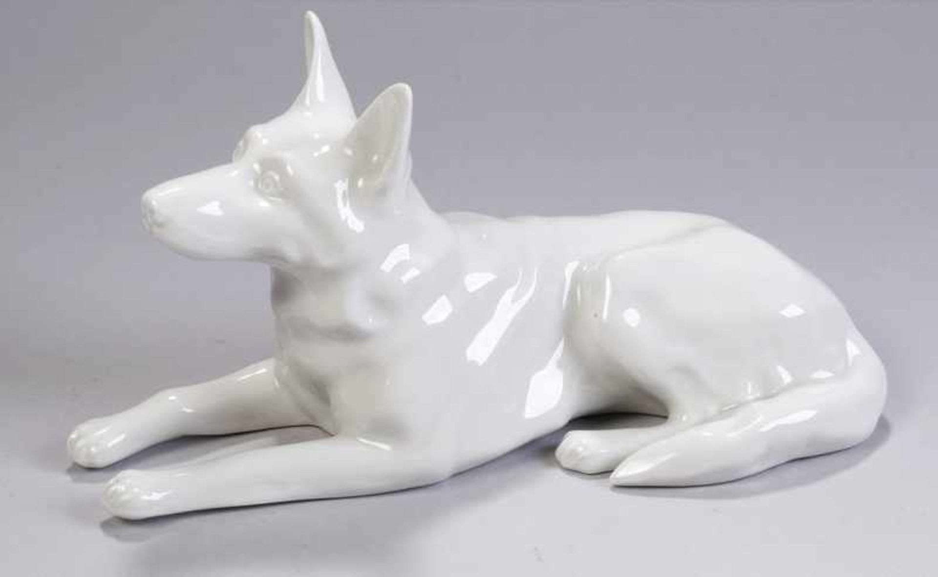 Weißporzellan-Tierplastik, "Liegender Schäferhund", Porzellanfabrik Plankenhammer Wittmann<b
