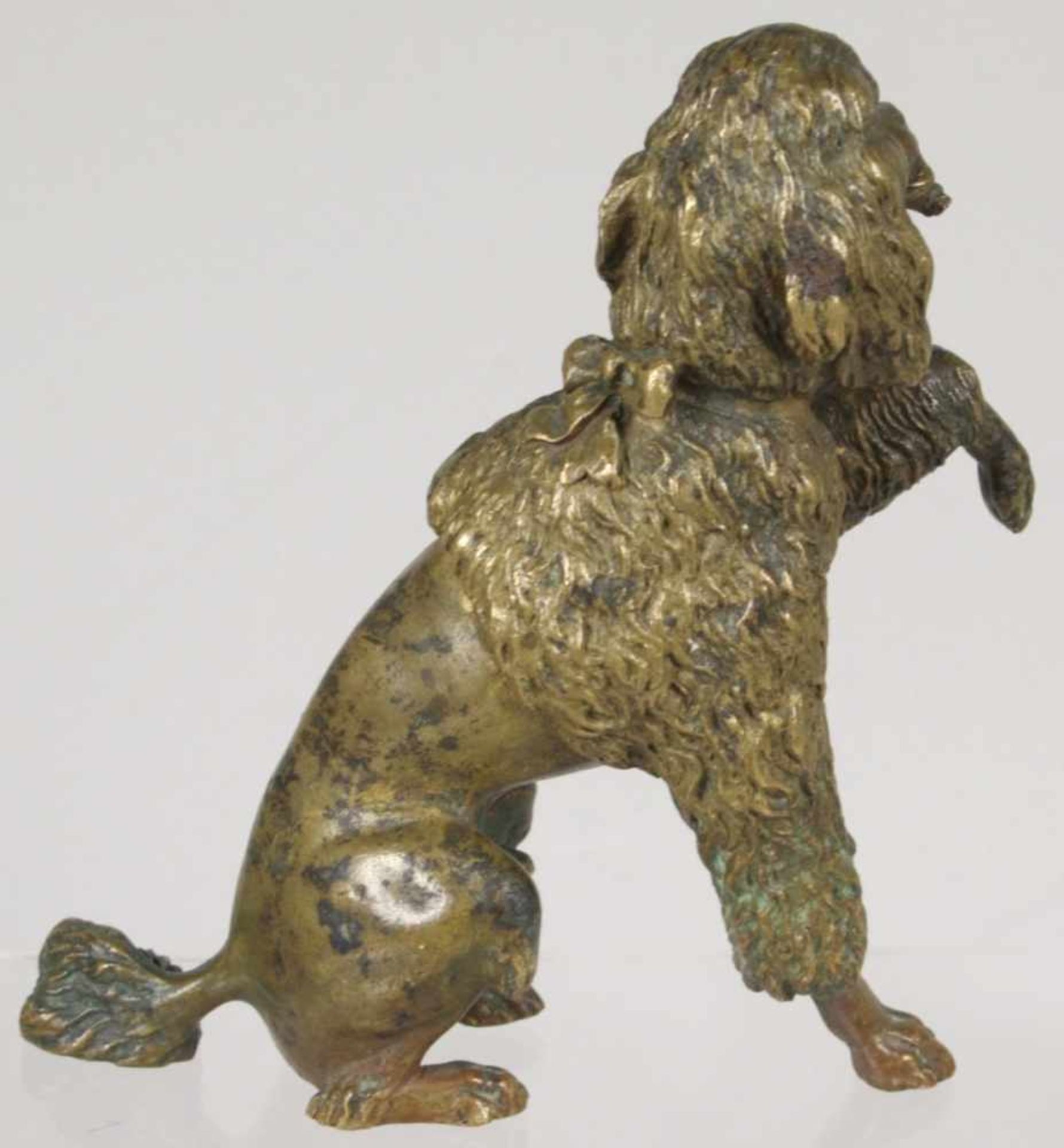 Bronze-Tierplastik, "Pudel", anonymer Bildhauer um 1900, naturalistische, sitzendeDarstellung mit - Bild 2 aus 3