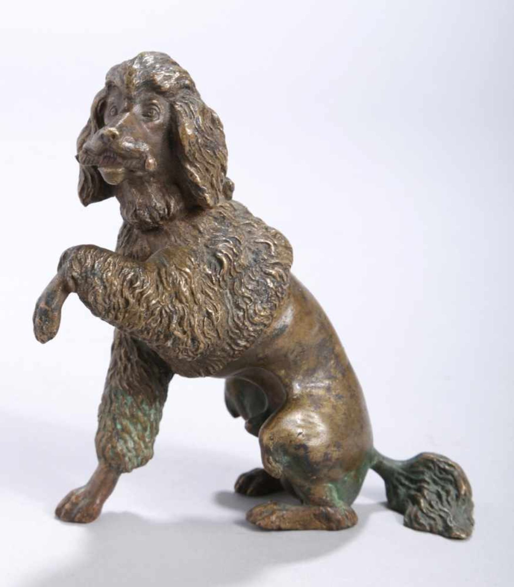 Bronze-Tierplastik, "Pudel", anonymer Bildhauer um 1900, naturalistische, sitzendeDarstellung mit
