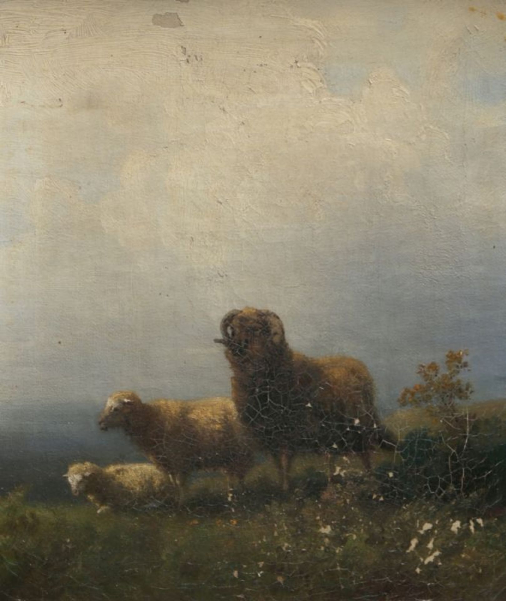 Anonymer Maler, 19. Jh. "Schafe in Landschaft", Öl/Lw., 29 x 25 cm, zahlreicheFarbfehlstellen,