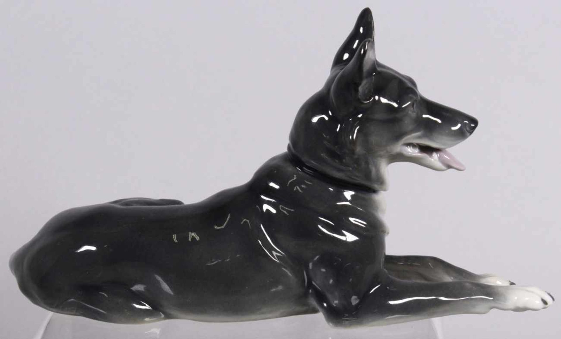 Porzellan-Tierplastik, "Liegender Deutscher Schäferhund", Gebrüder Heubach, Lichte, um1913, Ent - Bild 2 aus 4