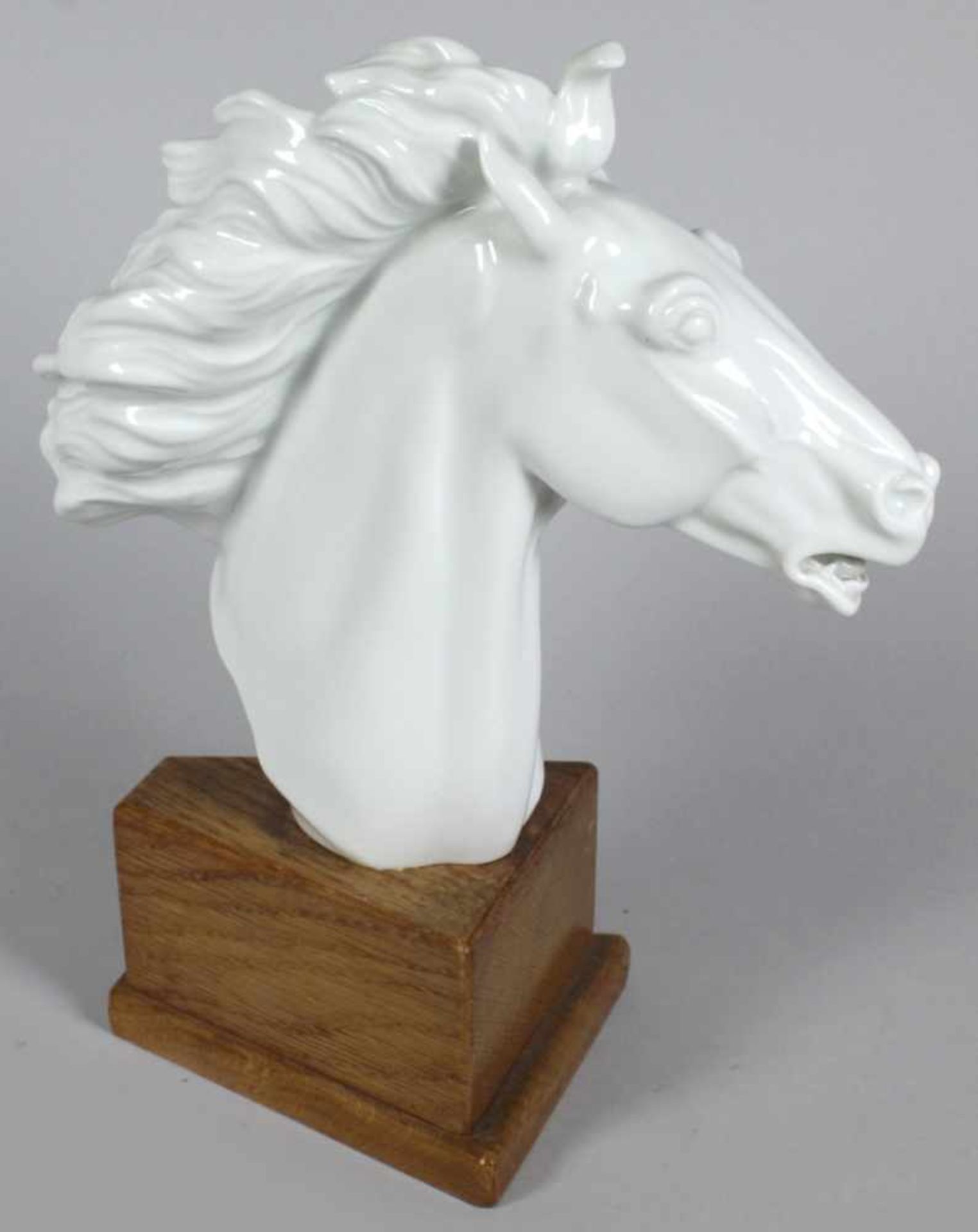 Weißporzellan-Tierplastik, "Pferdekopf/Hengst Maestoso", Meissen, 2. Hälfte 20. Jh.,Entw.: Eric - Bild 2 aus 3