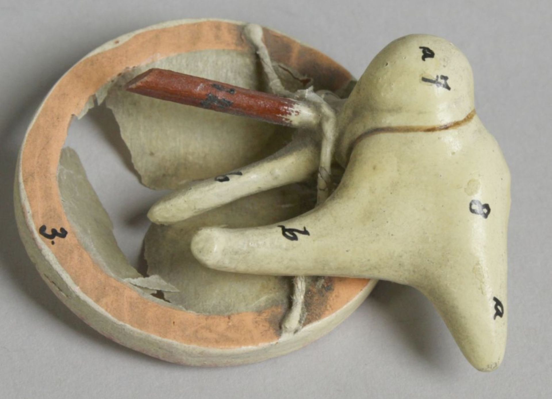 Anatomisches Modell, "Menschliches Ohr", dt., um 1900, auf flache, ebonisierteRechteck-Sockelpl - Bild 4 aus 5