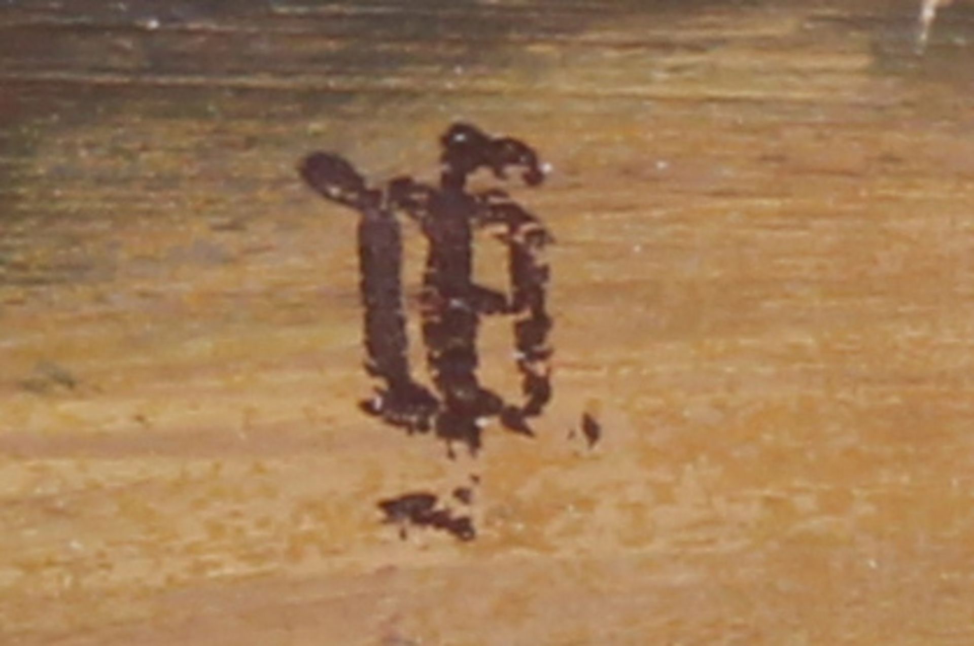 2 kleine Ölgemälde: "Alpenblumen", undeutlich monogrammiert unten rechts, 26 x 29 cm ; " - Image 2 of 7