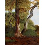 Französischer Künstler (um 1850), "Waldstudie", Öl auf Leinwand, 35 x 27 cm, verso französischer