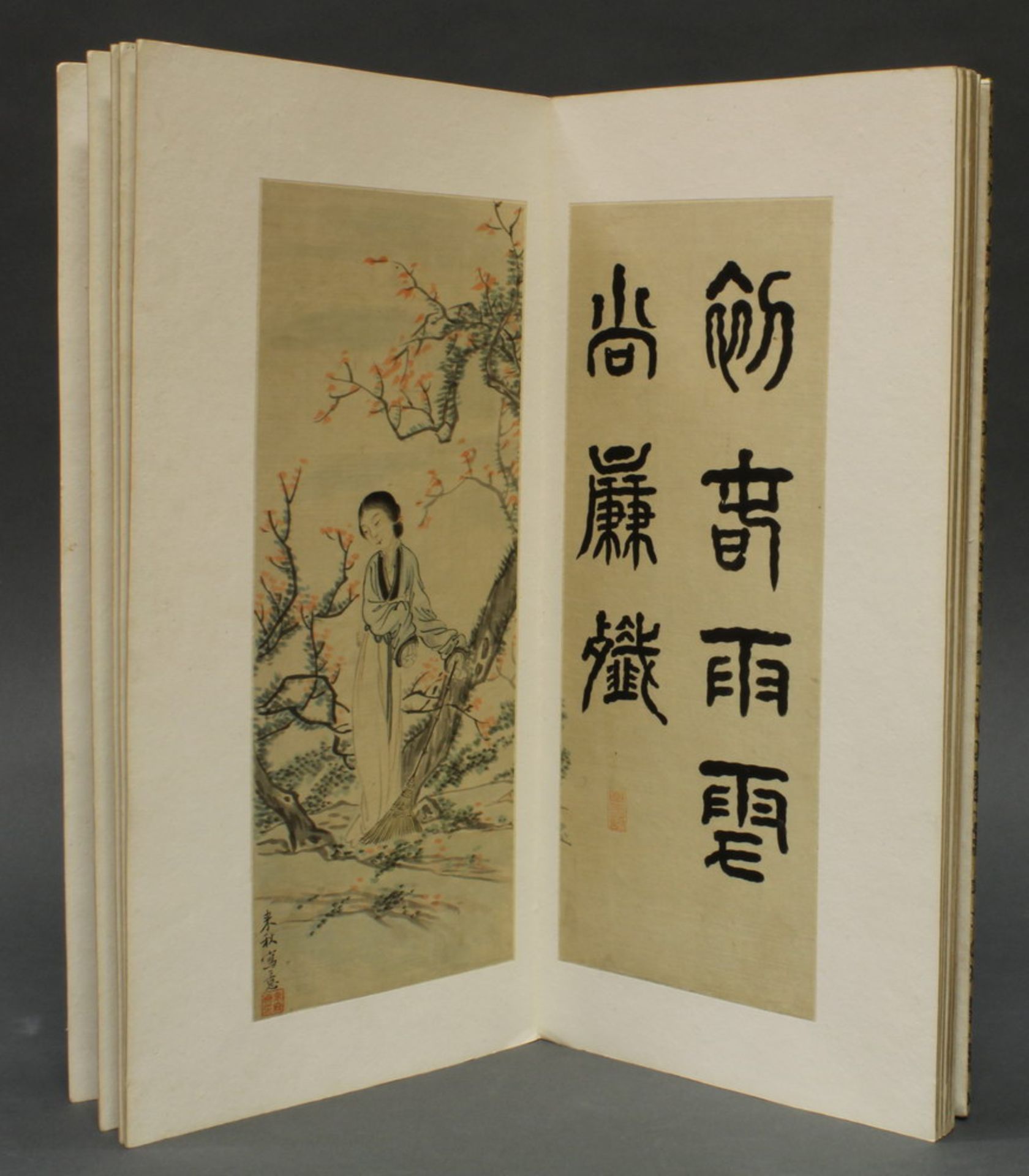 Album, China, 20. Jh., Brokateinband, 12 Blätter mit jungen Schönheiten in Landschaften, Farbe auf - Image 5 of 12