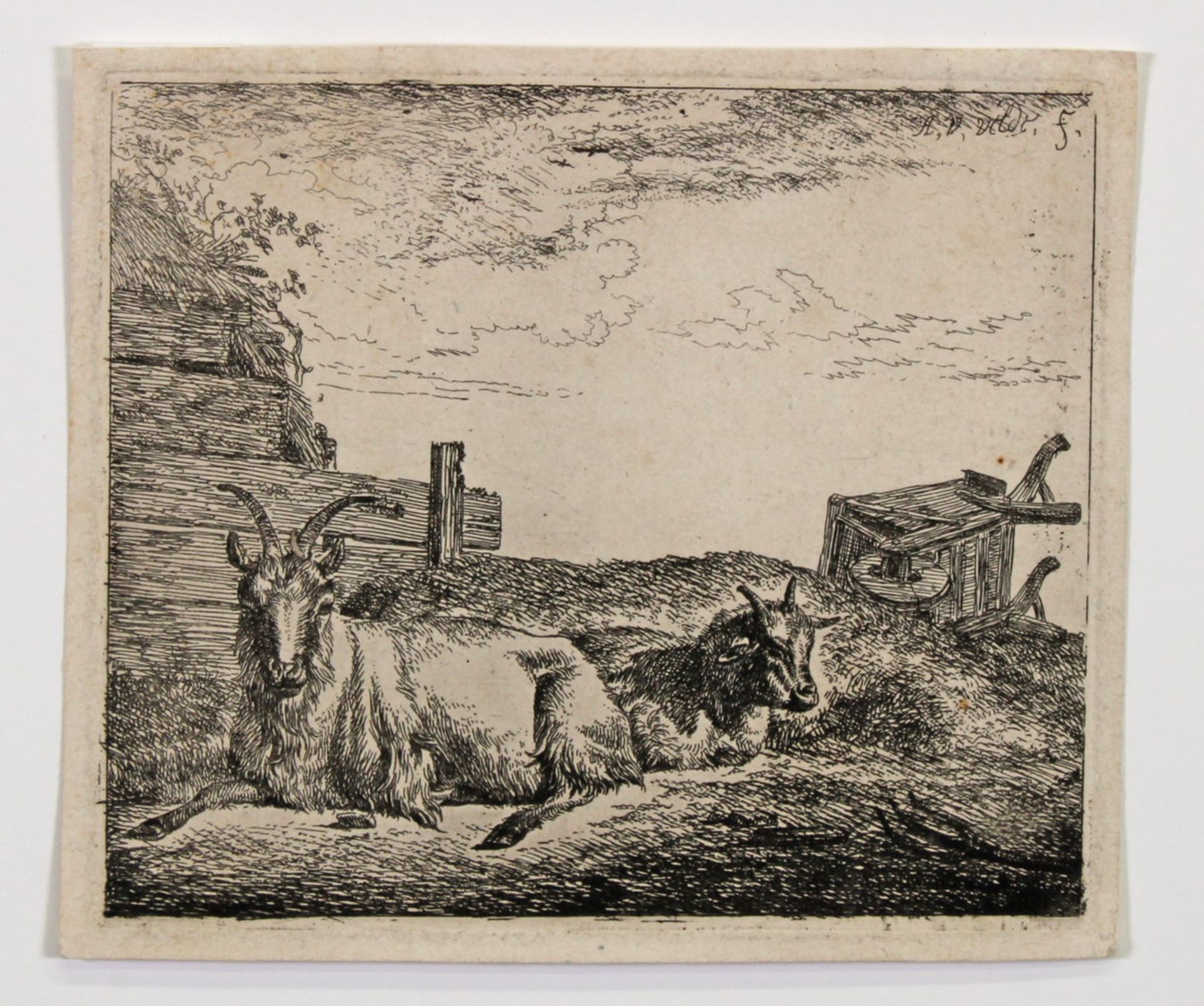 Velde, Adriaen van de (Amsterdam 1636 - 1672 ebenda), Radierung, "Liegende Ziege", in der - Bild 3 aus 5