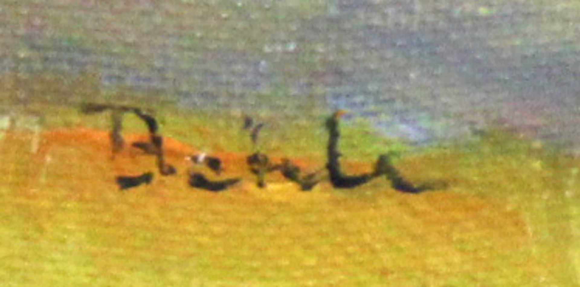 Behle, Alfred (1935 - 1997, Maler), "Blick auf Cap De Pere", Öl auf Leinwand, auf Karton, signiert - Image 3 of 4