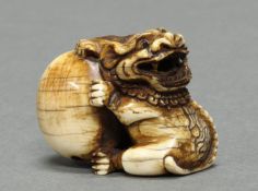 Netsuke, "Shishi mit Ball", Japan, Anfang 20. Jh., Elfenbein, patiniert, 3.5 cm hoch