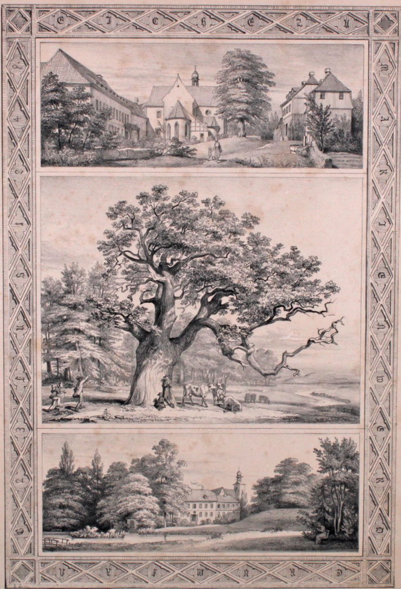 Lithografie, "Eiche zu Marienberda, Hinüberscher Garten Hannover", 1847, Georg Laves, 46.5 x 31.5