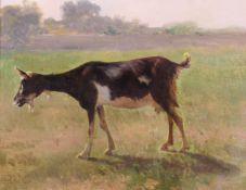 Robbe, Louis (1806 Courtai - 1887 Brüssel), zugeschrieben, "Schwarz-bunte Ziege", Ölstudie auf