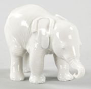 Kl. Elefant