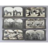 Bundle of 22 Stereoscopic Cards "Animals"