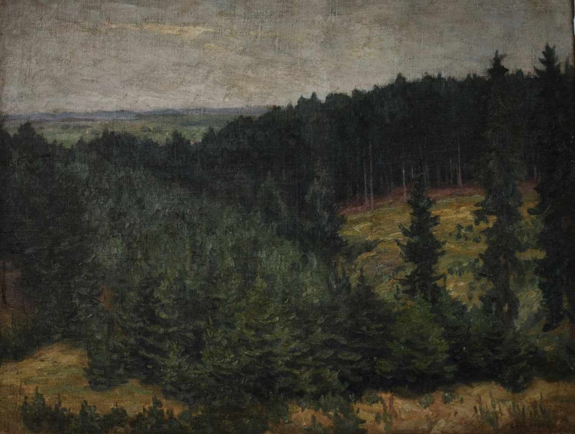 Piepho Carl (1869 - 1920) "Bewaldete Landschaft"
