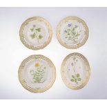 Flora Danica Plates