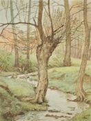 Erich Lindenau (1889 Bischofswerda - 1955 Dresden)Fluss im Wald, Aquarell und Tusche auf Papier,