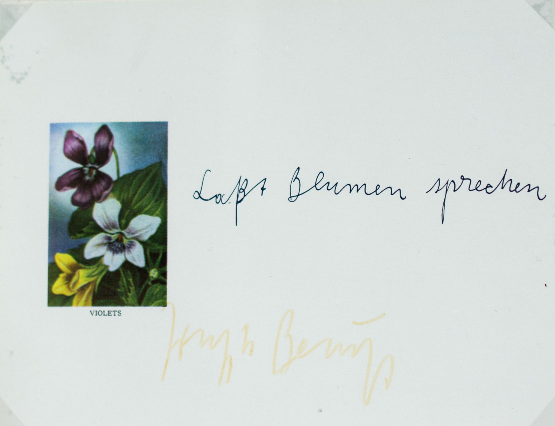 Joseph Beuys (1921 Kleve - 1986 Düsseldorf) (F)'Laßt Blumen sprechen', Farboffsetdruck auf Papier,