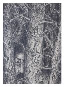 Günter Grass (1927 Danzig - 2015 Lübeck) (F)Selbst im Toten Holz, Kohle auf Papier, 66 cm x 48 cm