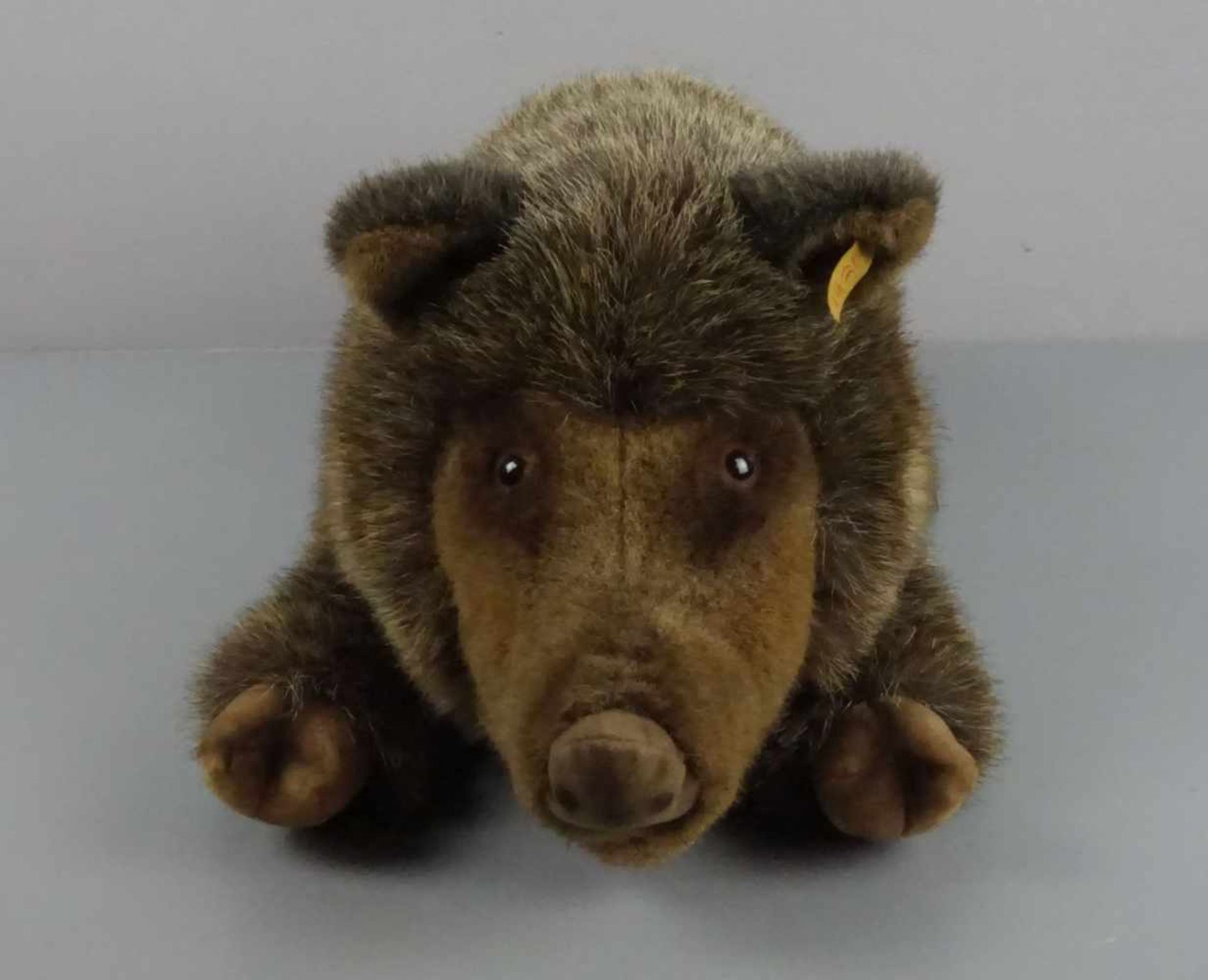 STEIFF - TIER WILDSCHWEIN: "Wulle" / fluffy toy, mit Manufakturfahne, "Knopf im Ohr" und Etikett. L. - Bild 2 aus 6