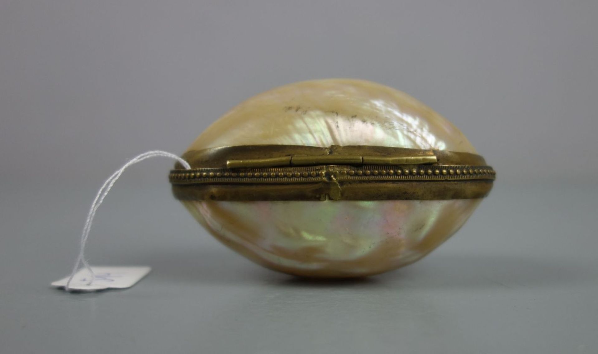 GALANTERIE: MUSCHEL-TABATIERE / SCHNUPFTABAKDOSE / pearl snuff box, wohl 19. Jh.. Ovale Form, - Bild 3 aus 4