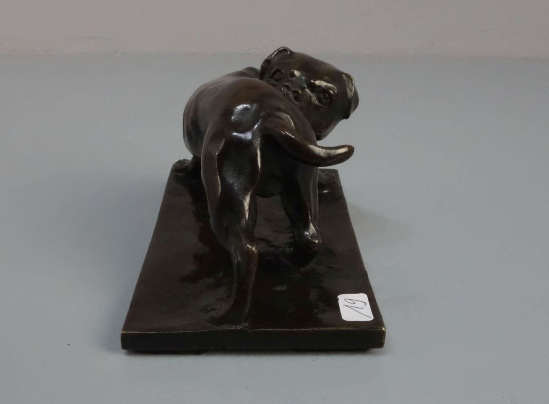 ANIMALIER / TIERBILDHAUER DES 19./20. JH.: Skulptur / sculpture: "Hund / Dogge", Bronze, dunkelbraun - Image 4 of 5