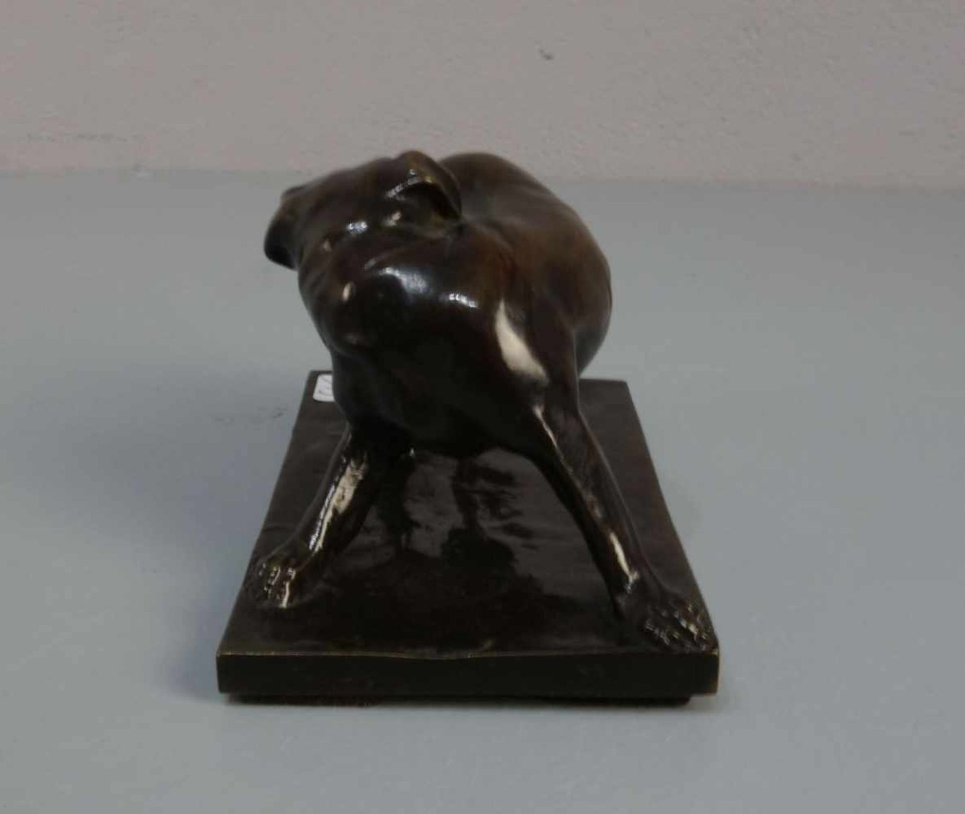 ANIMALIER / TIERBILDHAUER DES 19./20. JH.: Skulptur / sculpture: "Hund / Dogge", Bronze, dunkelbraun - Image 2 of 5