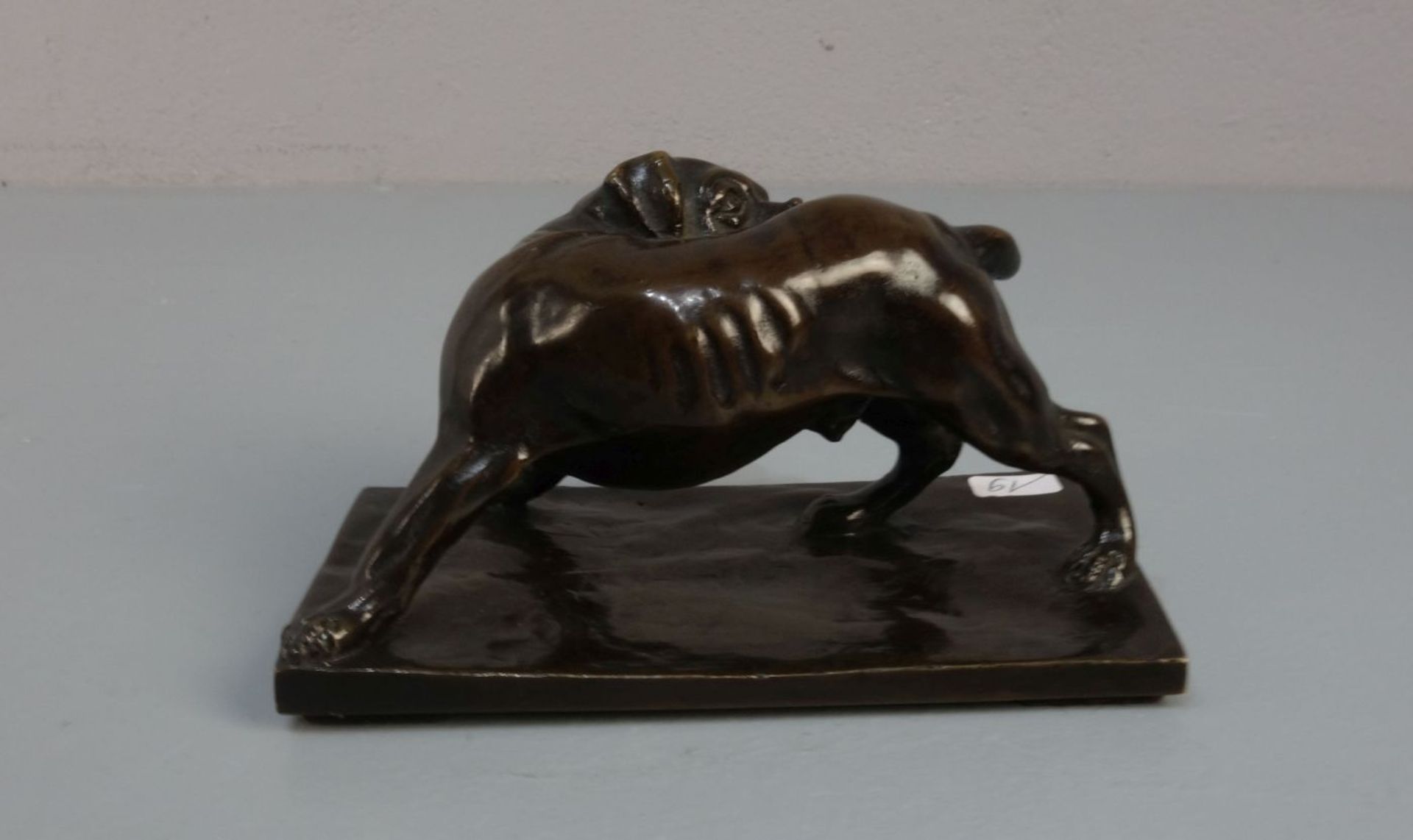 ANIMALIER / TIERBILDHAUER DES 19./20. JH.: Skulptur / sculpture: "Hund / Dogge", Bronze, dunkelbraun - Bild 3 aus 5