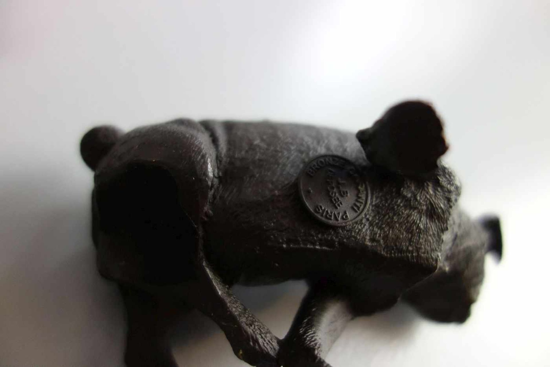 PAAR FIGÜRLICHE BRONZEN: "HUNDE" / two bronze dogs, 20. Jh., Mops / Französische Bulldogge in Art - Bild 4 aus 7