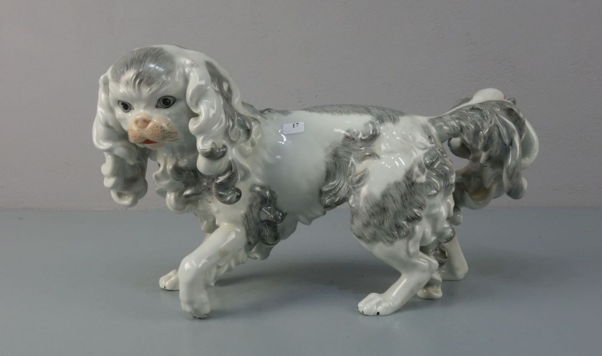 PORZELLANFIGUR "Hund" / "King Charles Spaniel", Sächsische Porzellanfabrik zu Potschappel von Carl