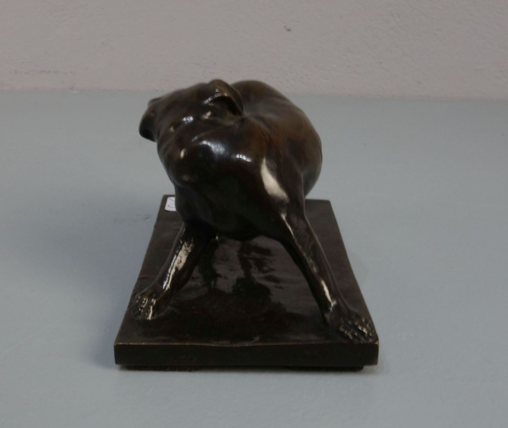 ANIMALIER / TIERBILDHAUER DES 19./20. JH.: Skulptur / sculpture: "Hund / Dogge", Bronze, dunkelbraun - Bild 2 aus 5