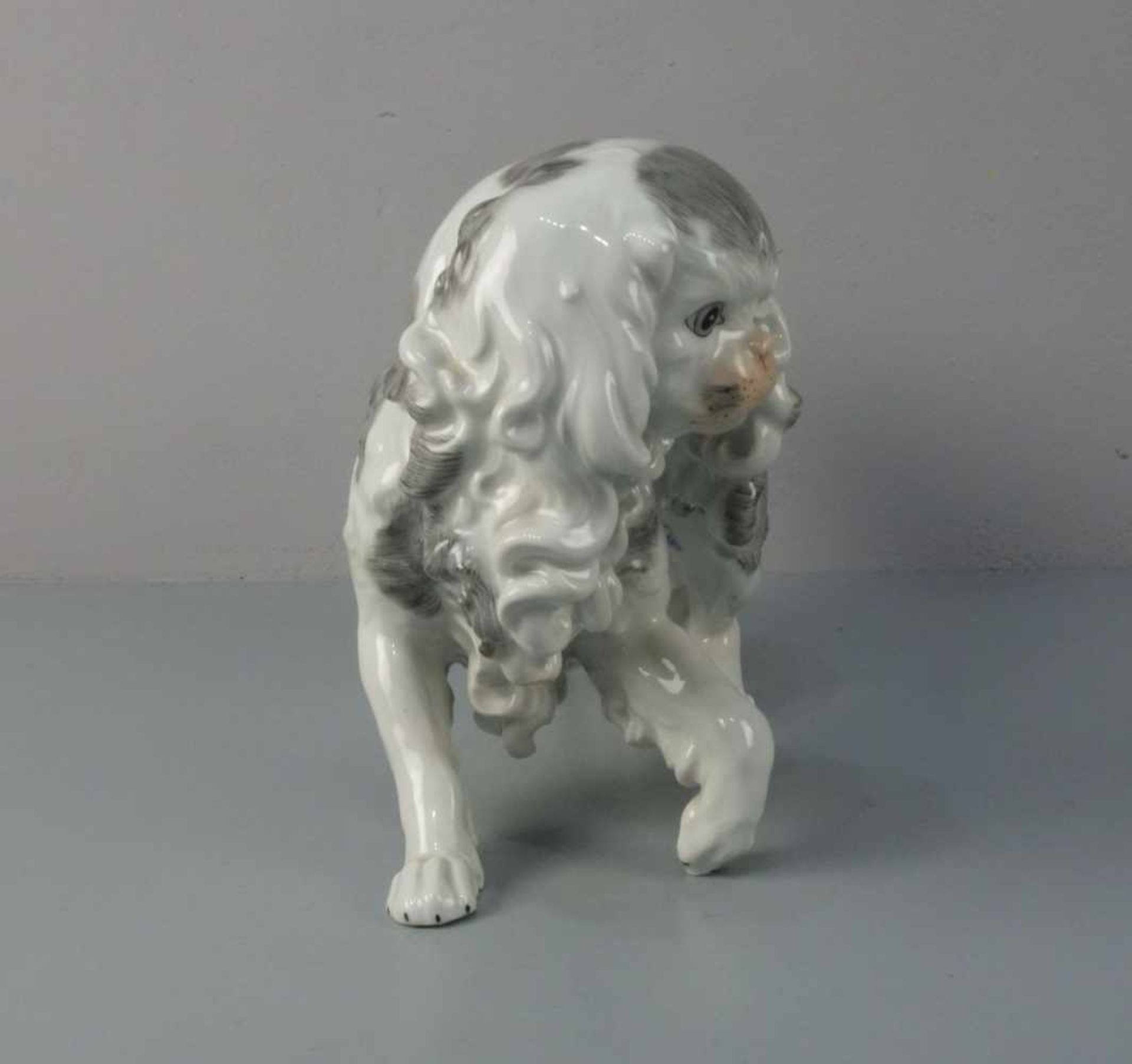 PORZELLANFIGUR "Hund" / "King Charles Spaniel", Sächsische Porzellanfabrik zu Potschappel von Carl - Bild 2 aus 6