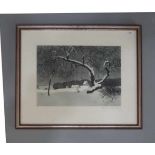 HECKER, FRANZ (Bersenbrück 1870-1943 Osnabrück), Radierung und Aquatinta / etching: "Winter (mit