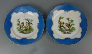 PAAR TELLER MIT PAPAGEIENMOTIV / ZIERTELLER / two porcelain plates with parrots, Porzellan, wohl