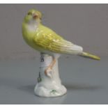 PORZELLANFIGUR: "Kanarienvogel", ENTWURF: MICHEL VICTOR ACIER (Versailles 1736-1799 Dresden),